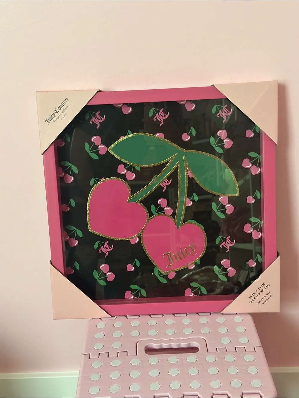 Juicy Couture Pink & Black Cherry Wall Art🍒